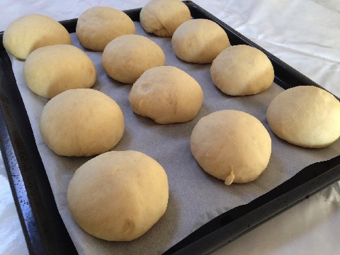 Homemade dinner rolls
